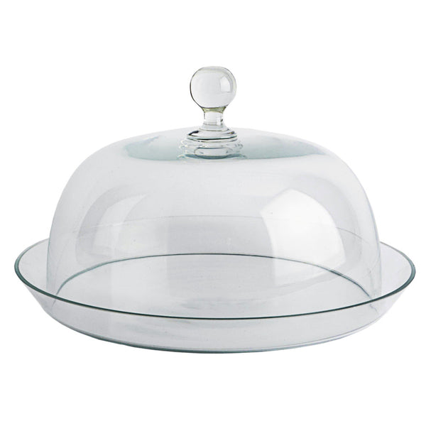 Dome1448
