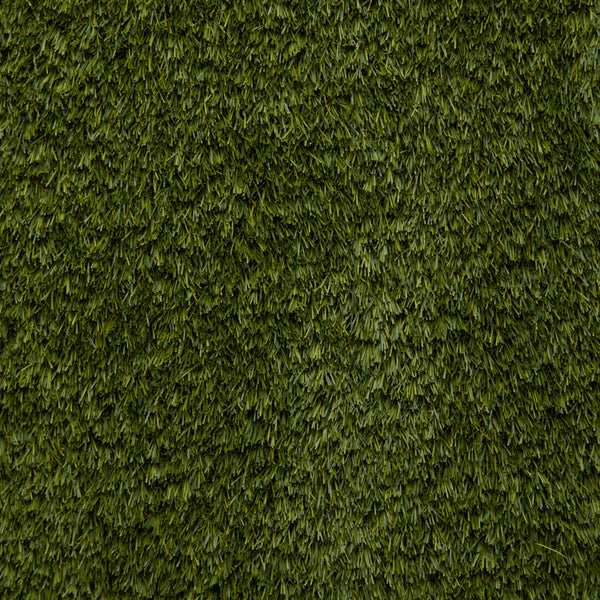 Grass3260