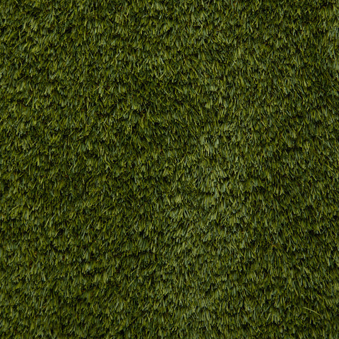 Grass3260