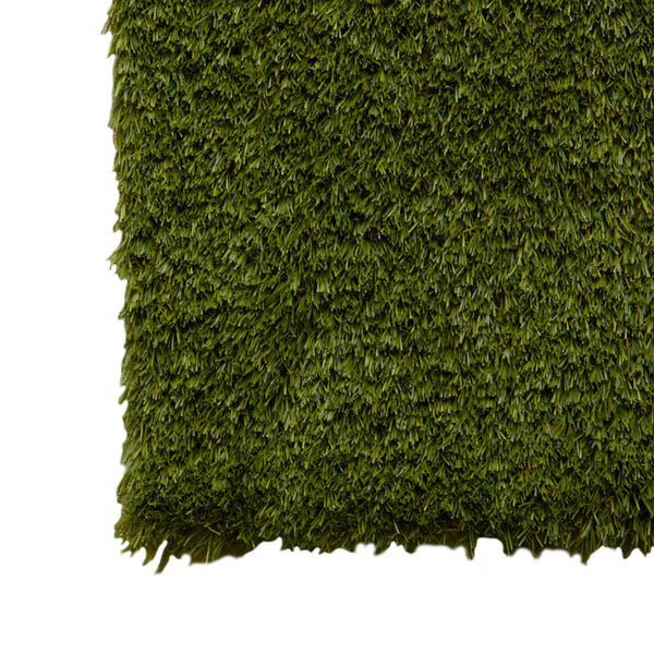 Grass3260