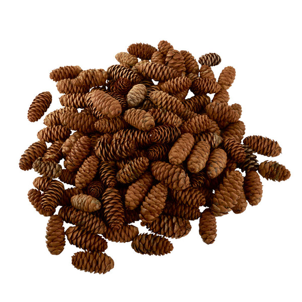 Cones3352