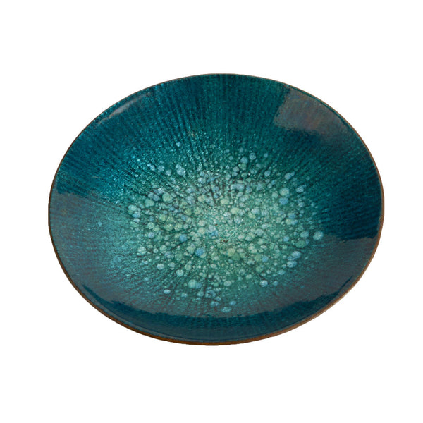 Dish3478