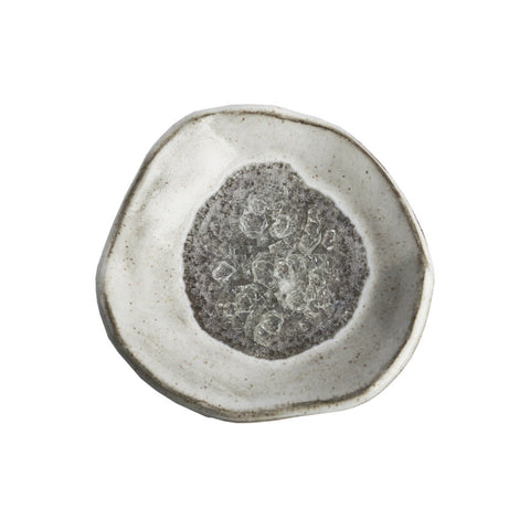 Plate3573