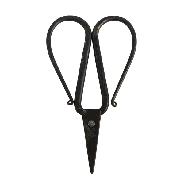 Scissors3724