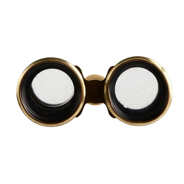 Binocular3734