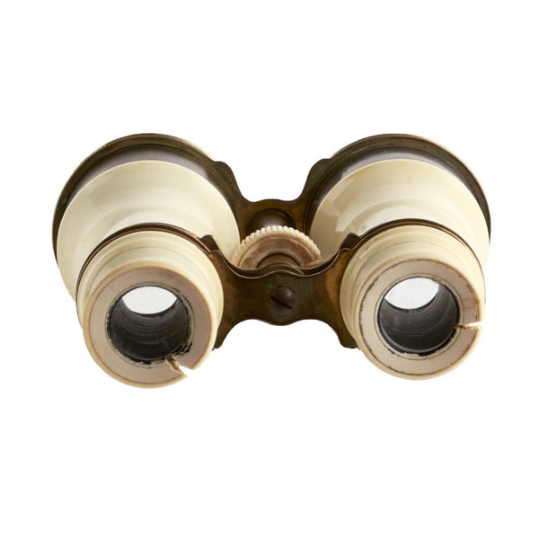 Binocular3734