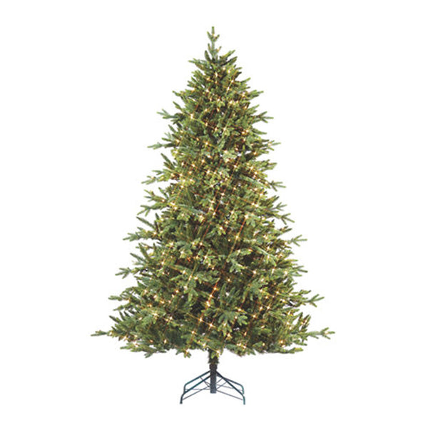 Tree3555