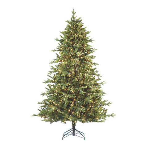 Tree3555