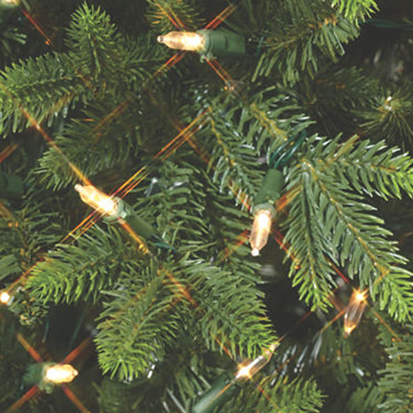 Tree3555