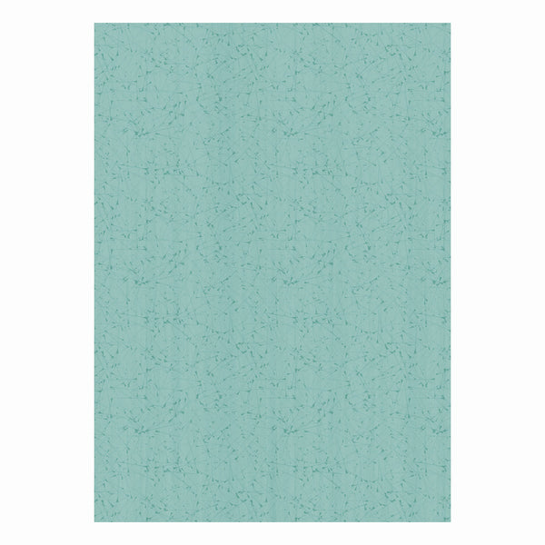 Vinyl6602