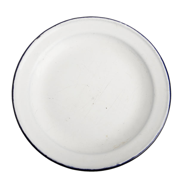 Plate11107