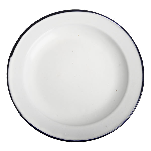 Plate11108